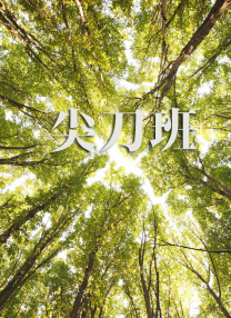 免费一二区
