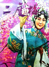 机机对机机视频