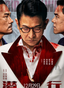 久久精品国产免费中文
